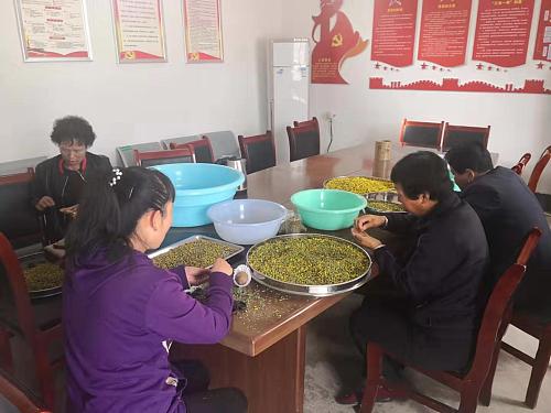 省委选调生铜川当第一书记，村民说他“想钱想疯了”