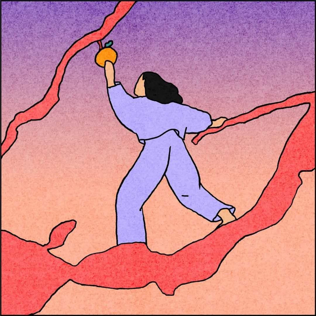 纽约时报去年的文章,纽约时报年度最佳图书