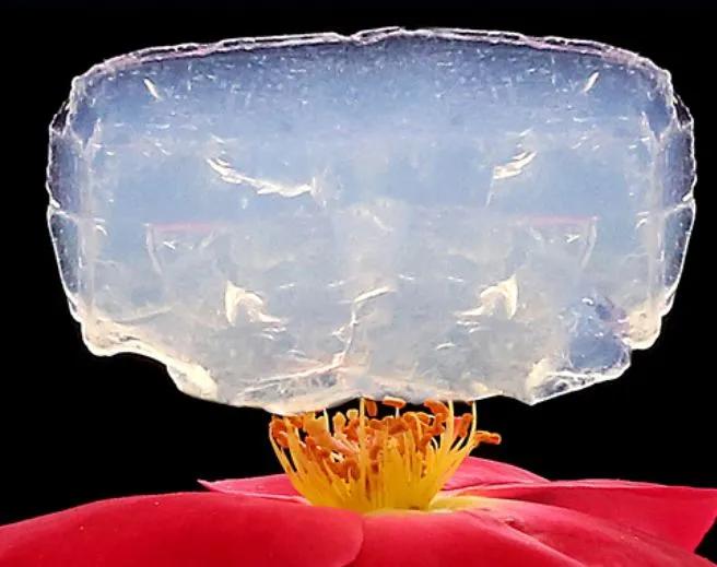 为双手戴上“护甲”，骑行免冻手！宇航服同款材料，隔绝“冰火”