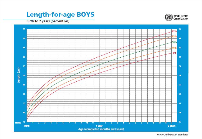 宝爸喂养常识,婴幼儿辅食添加指南