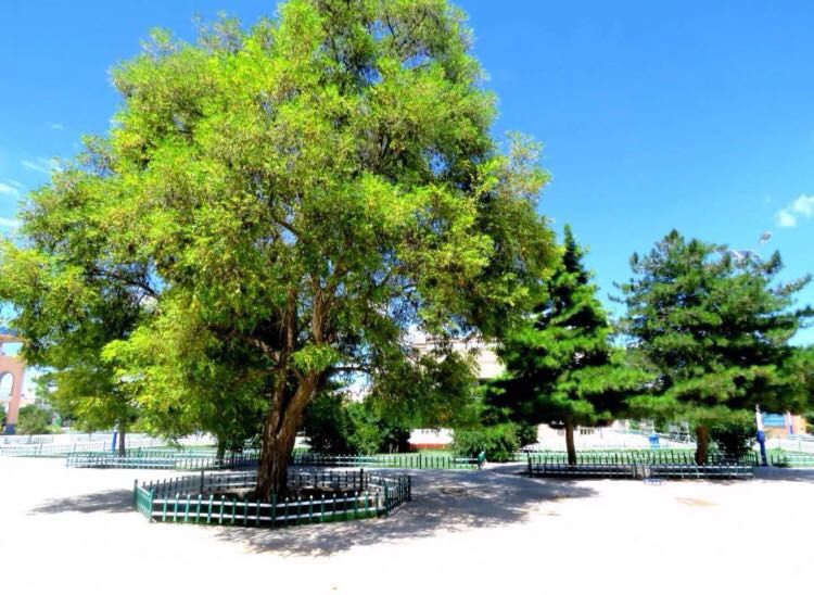 您好！我叫大靖，这是我的新名片