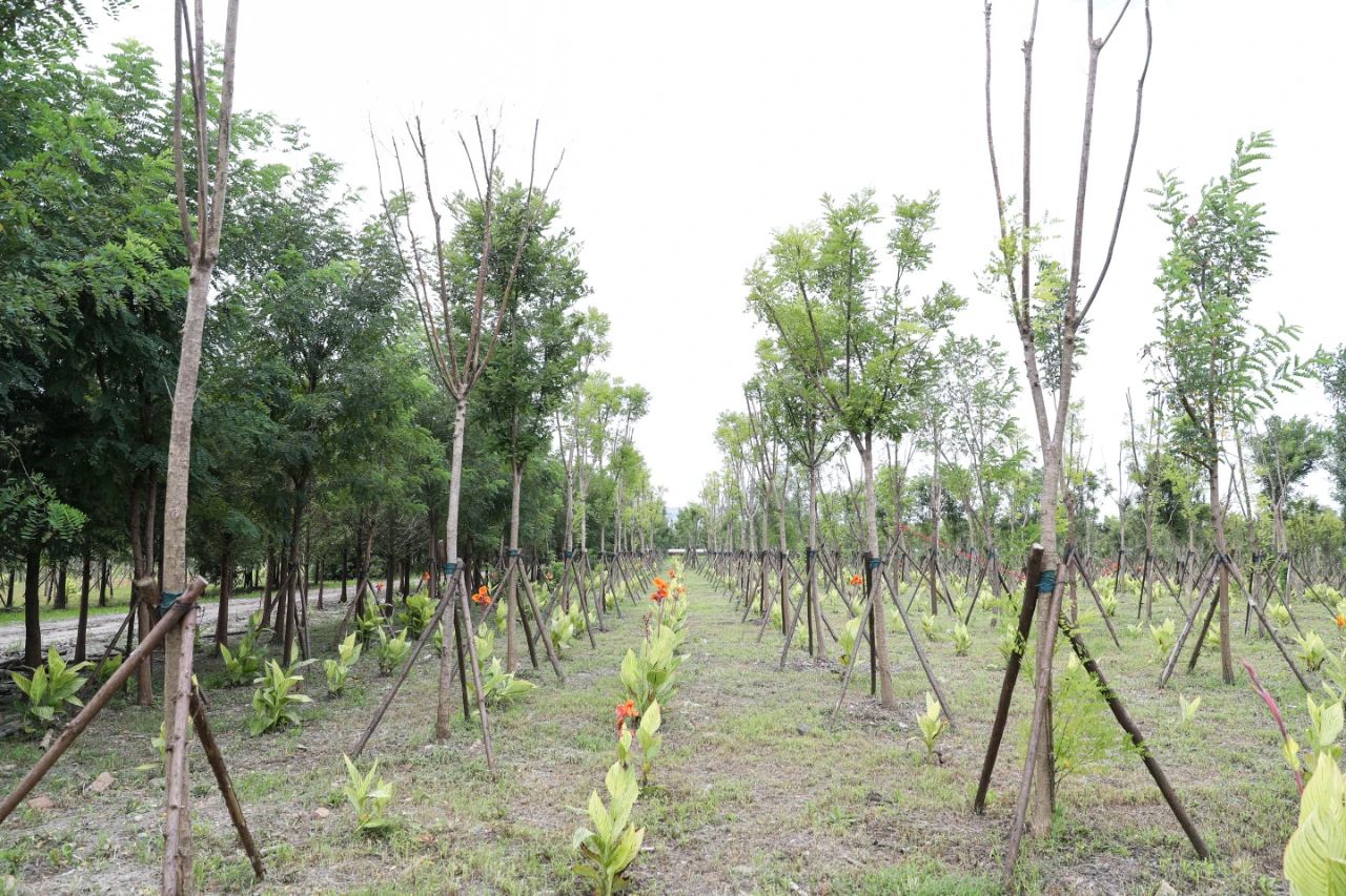 松江区佘山镇最新规划,上海松江佘山镇规划