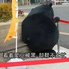 肖战粉丝必须知道的几件事,肖战粉丝格局分析