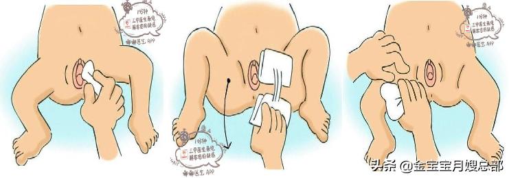 男女宝宝的臀部护理