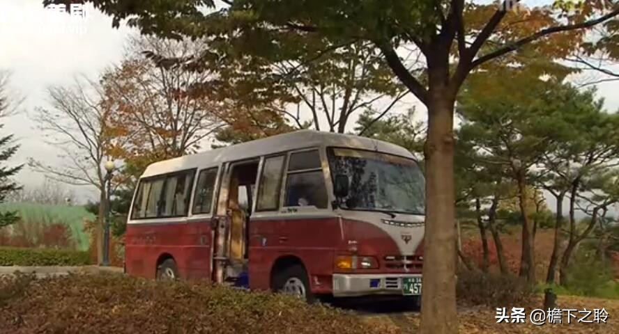 狐狸啊你在干什么,狐狸啊你在干啥电视剧国语版