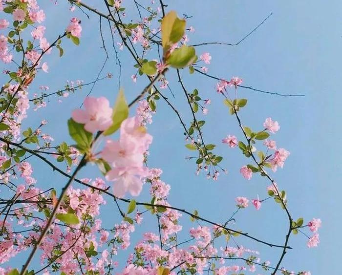 一首经典古诗词书法作品,十三言诗13首书法