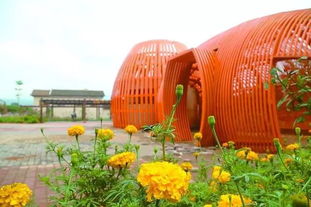 超级硬核的干货,森林康养旅游详细讲解