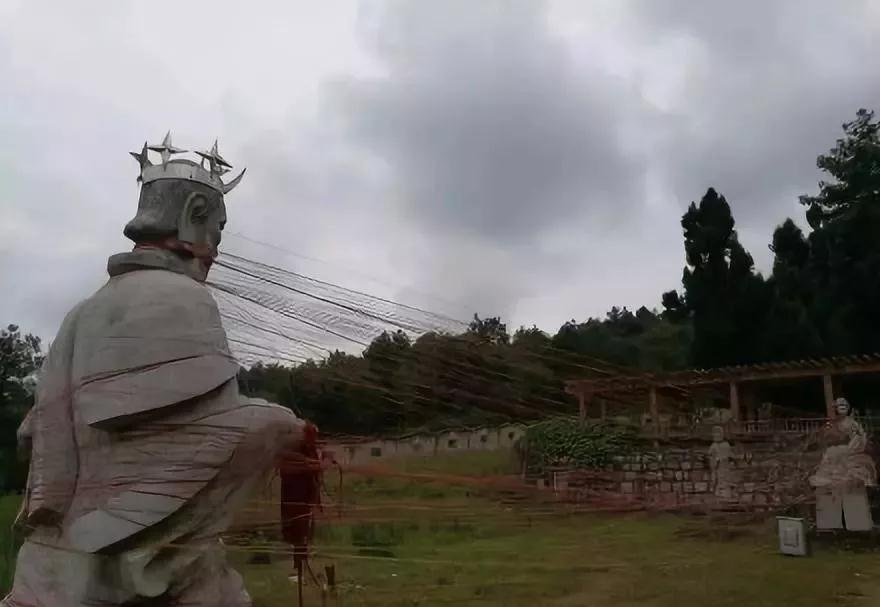 蓝花楹昆明网红打卡地在哪里,昆明周边湿地公园网红打卡地