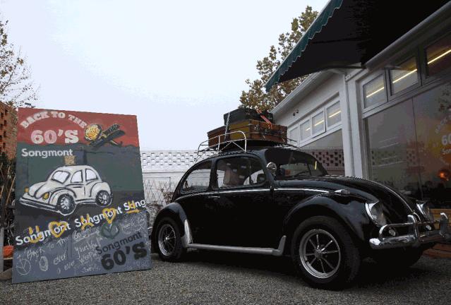 鼠年的女人买什么色的包包好,大牌鼠年限量款包包