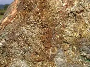 2019年新矿有哪些,2019年国产矿