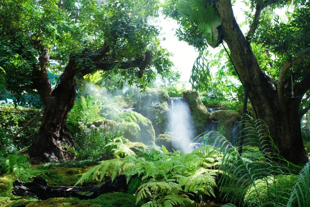 清迈美食攻略大全,最新清迈美食攻略