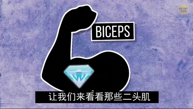 怎么练手臂的肱三头,怎么才能练出手臂的肱三头肌