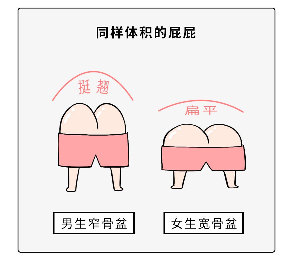 为什么有人臀很翘,男生臀为什么这么翘