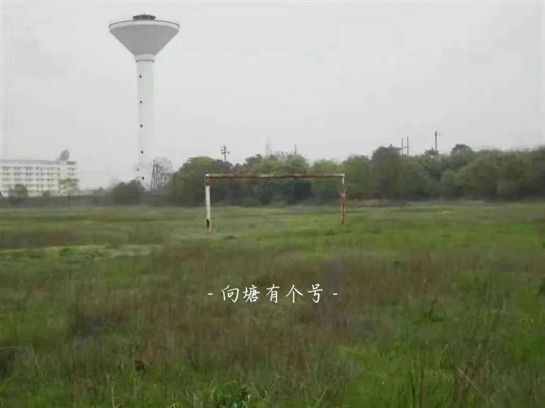 向塘好久不见,向塘中学