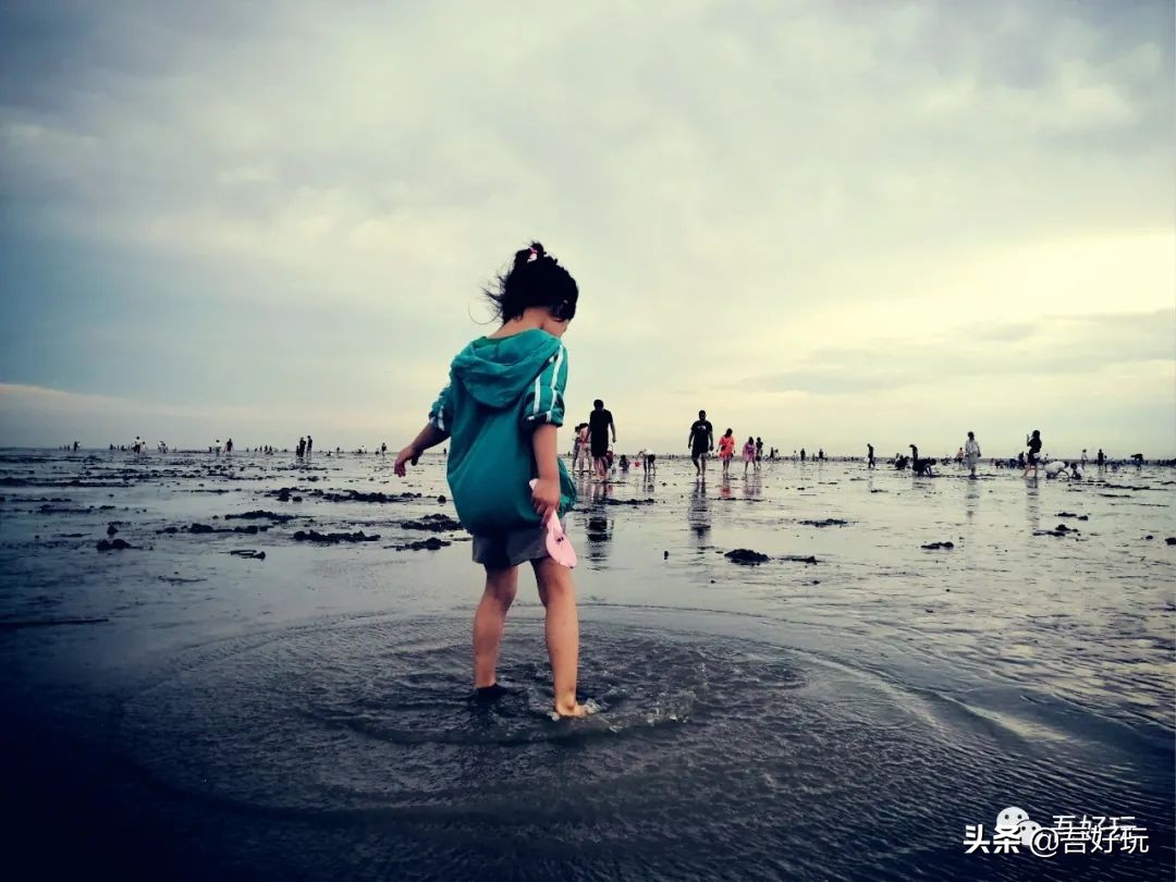 遛娃|南汇新城海滩，魔都夏日必打卡？