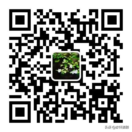 captureone图层遮罩功能,captureone图层与遮罩怎么用