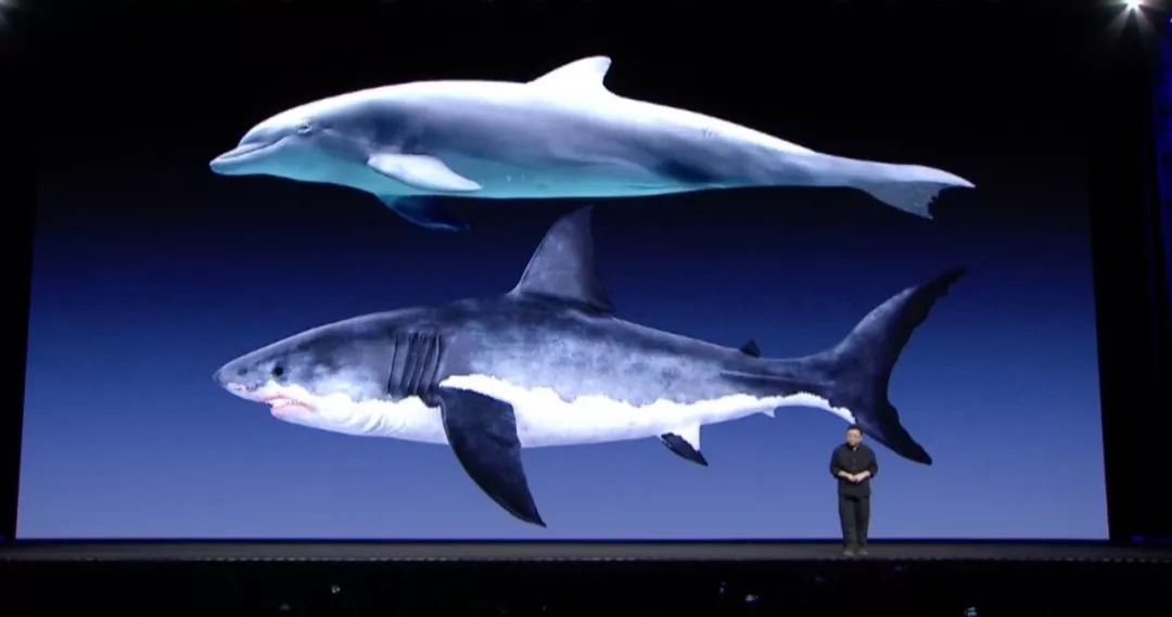 重新定义说唱,重新定义罗永浩直播