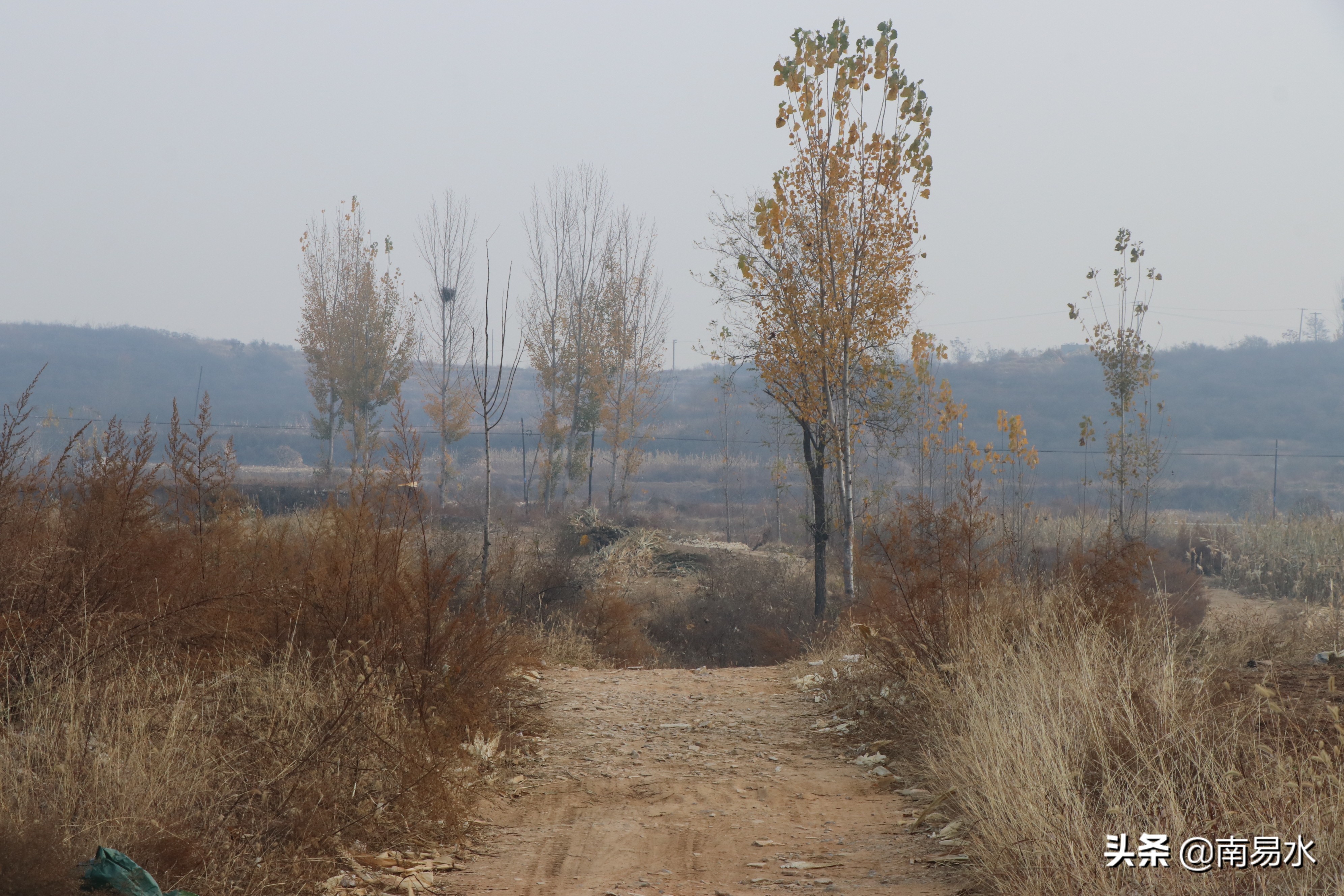 家乡风景带你一起感受自然的味道,令你难以忘怀的家乡的味道