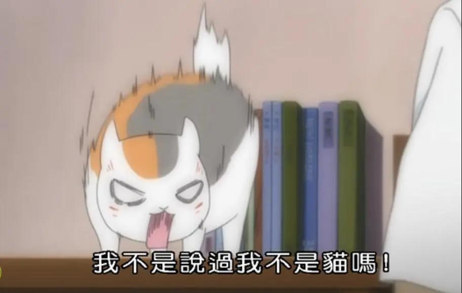 来了！我们的第3本科幻选集《猫不存在》