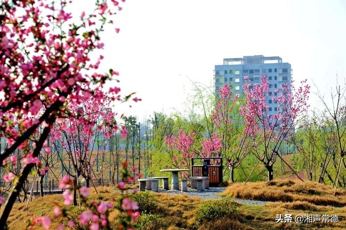 书写春联迎新春笔墨浓情送祝福,书写新篇章春联