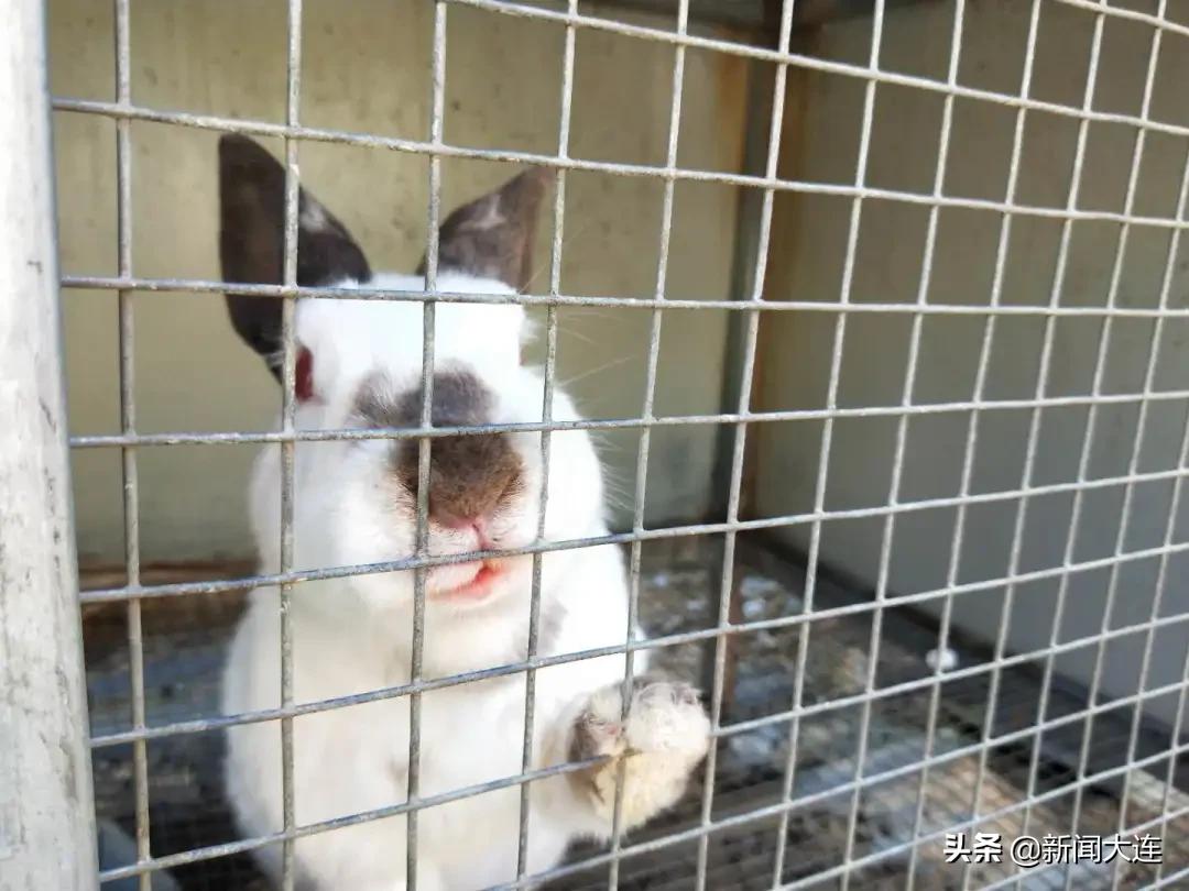 赏秋不必远行！大连这些地方美得正当时