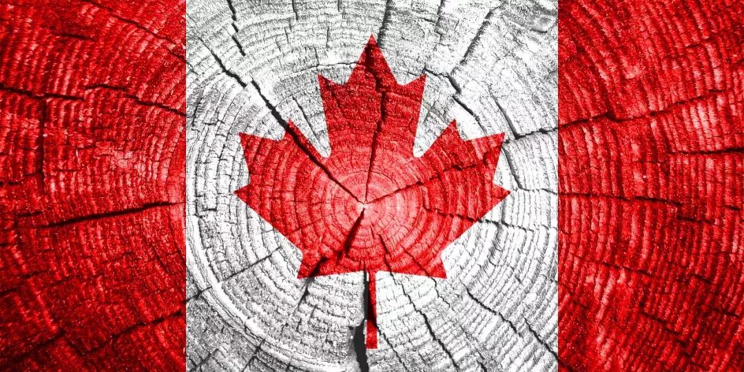 该来的终究还是会来的,该来的终于还是来了句子