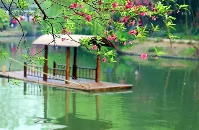 诗词经典绝美古文,50篇绝美小古文