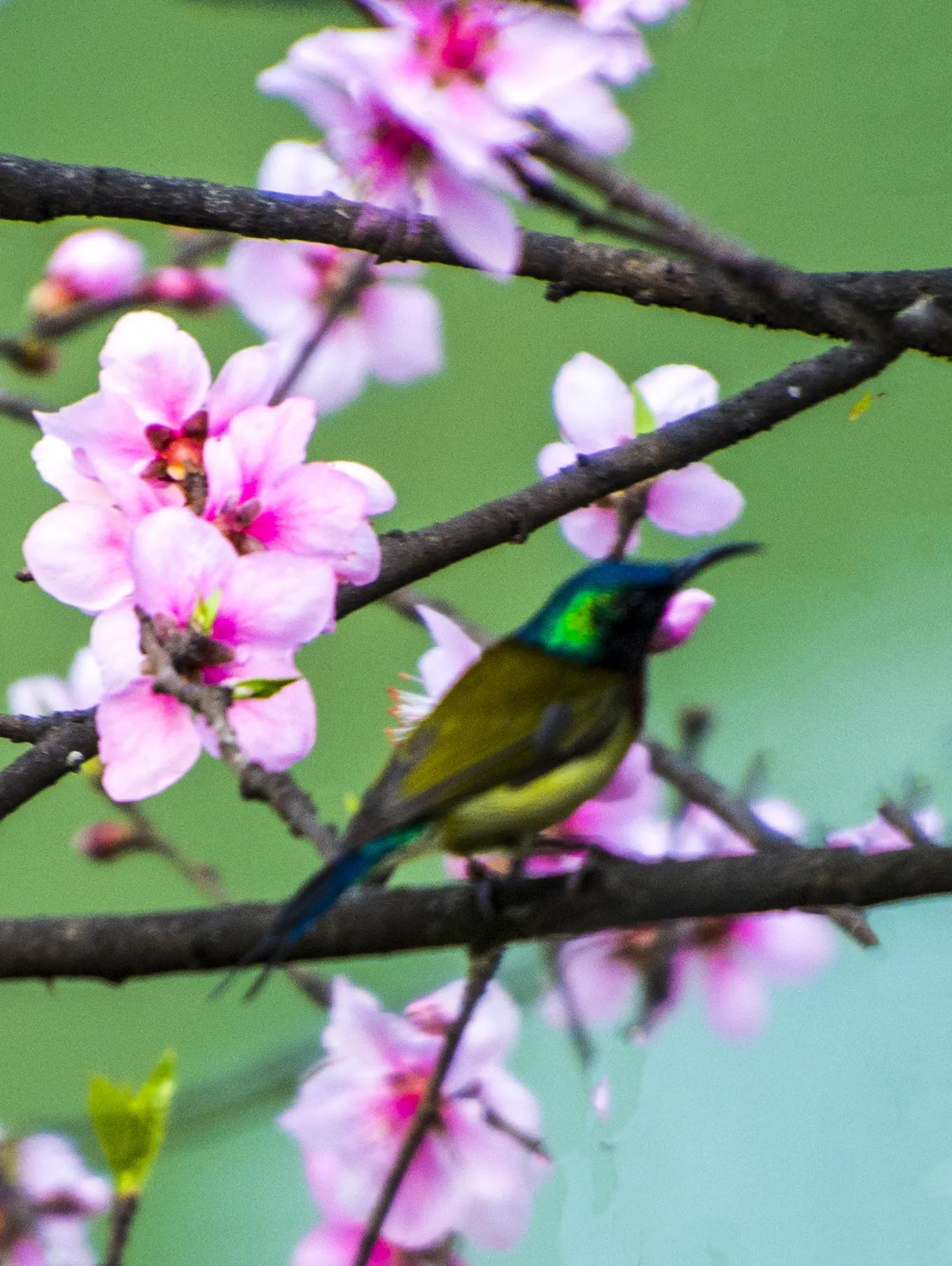 贵州大学8090后的回忆,贵州大学往事
