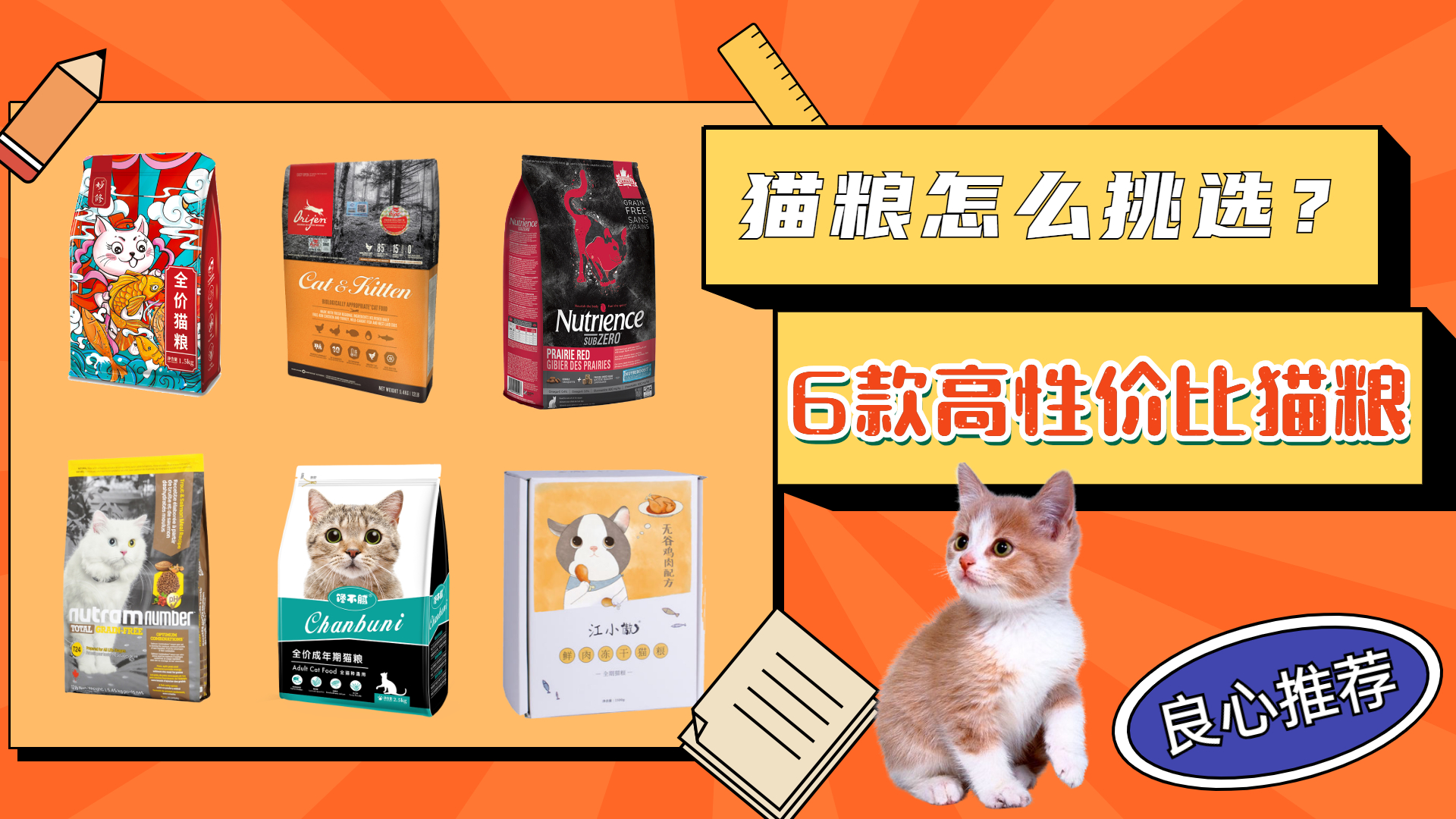 美短虎斑吃什么牌子猫粮比较好,折耳猫吃什么牌子的猫粮比较好