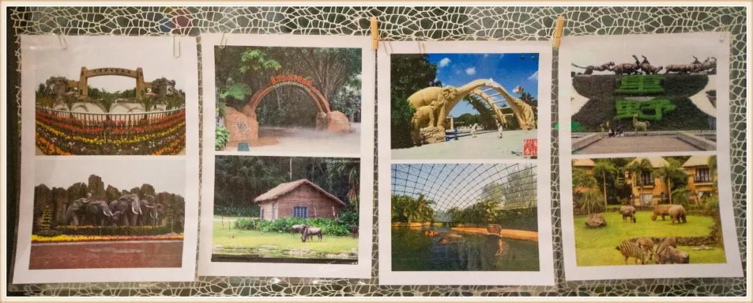 环境创设主题墙大班动物,可爱的小动物大班环境创设