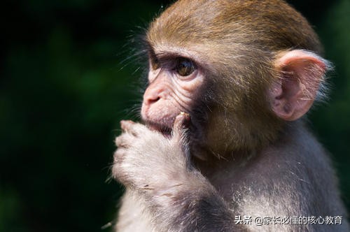 努力让孩子不再平庸,让孩子努力变得更优秀