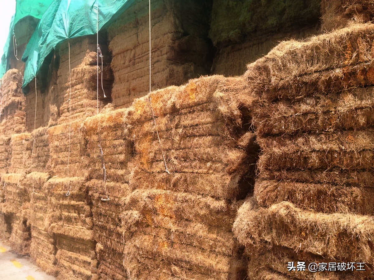 购买床垫的坑,买床垫被坑案例