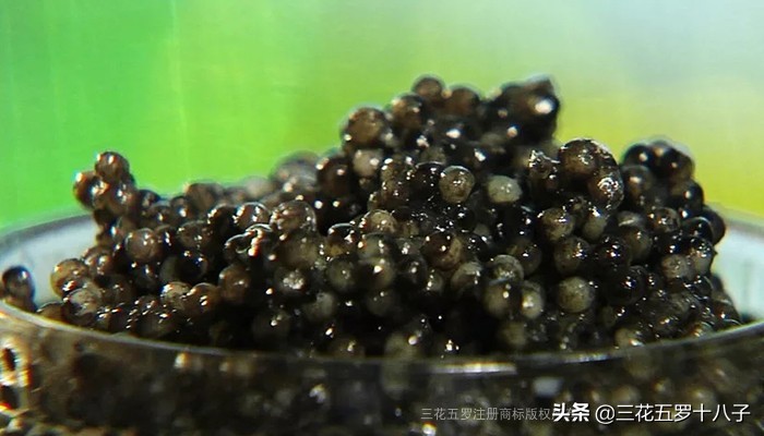 鱼子酱是三大奢侈品美食吗,世界三大美食鱼子酱