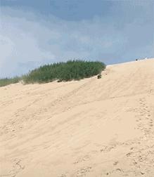 关于聚餐的幽默笑话大全,群友聚餐的幽默笑话