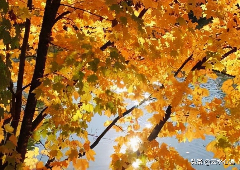 堪称经典的十首古诗词,值得收藏的三大经典古诗词