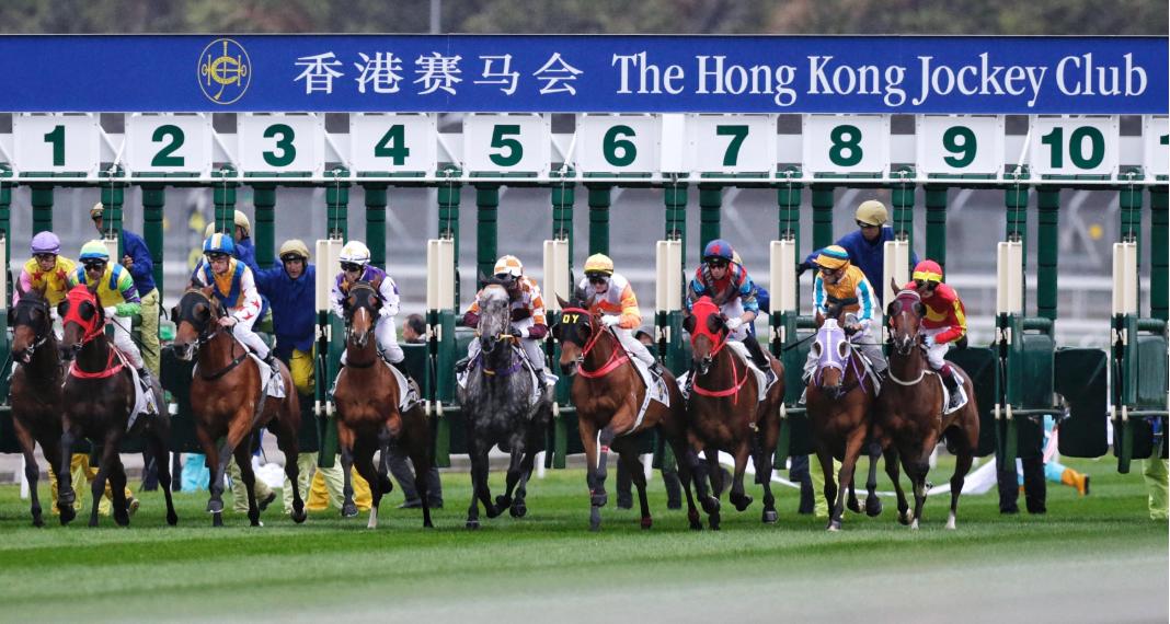 香港赛马会是什么样的神仙存在？