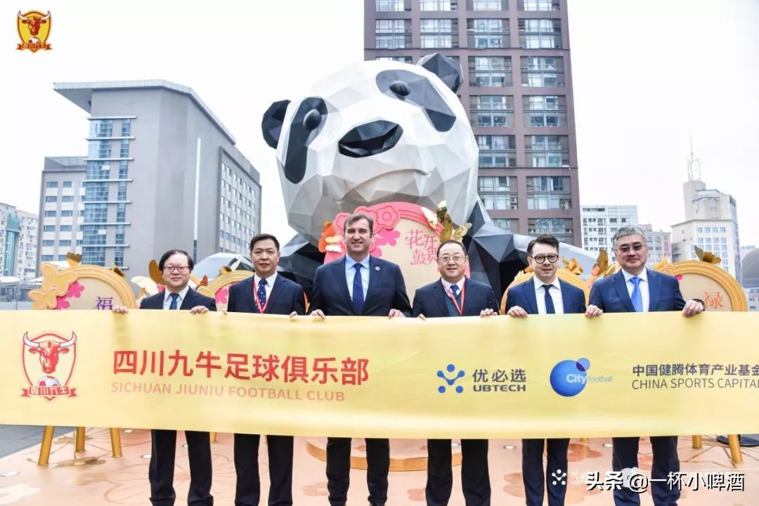 专业足球场转播效果,专业足球场观赛