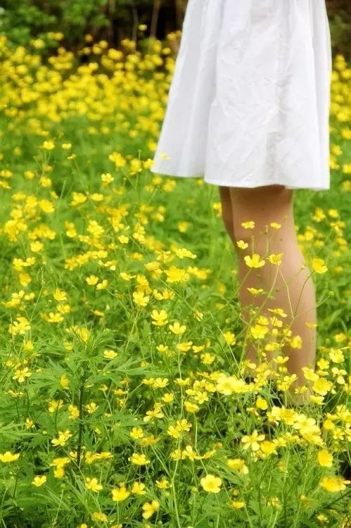 那些常见却叫不上名字的野花野草,常见的野花野草却是农家之宝