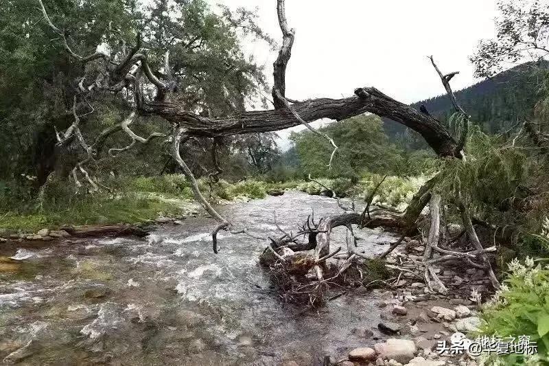 绉嬩箣瀚ｇ劧鐑熻姳鍚戞櫄,绉嬩箣瀚ｇ劧