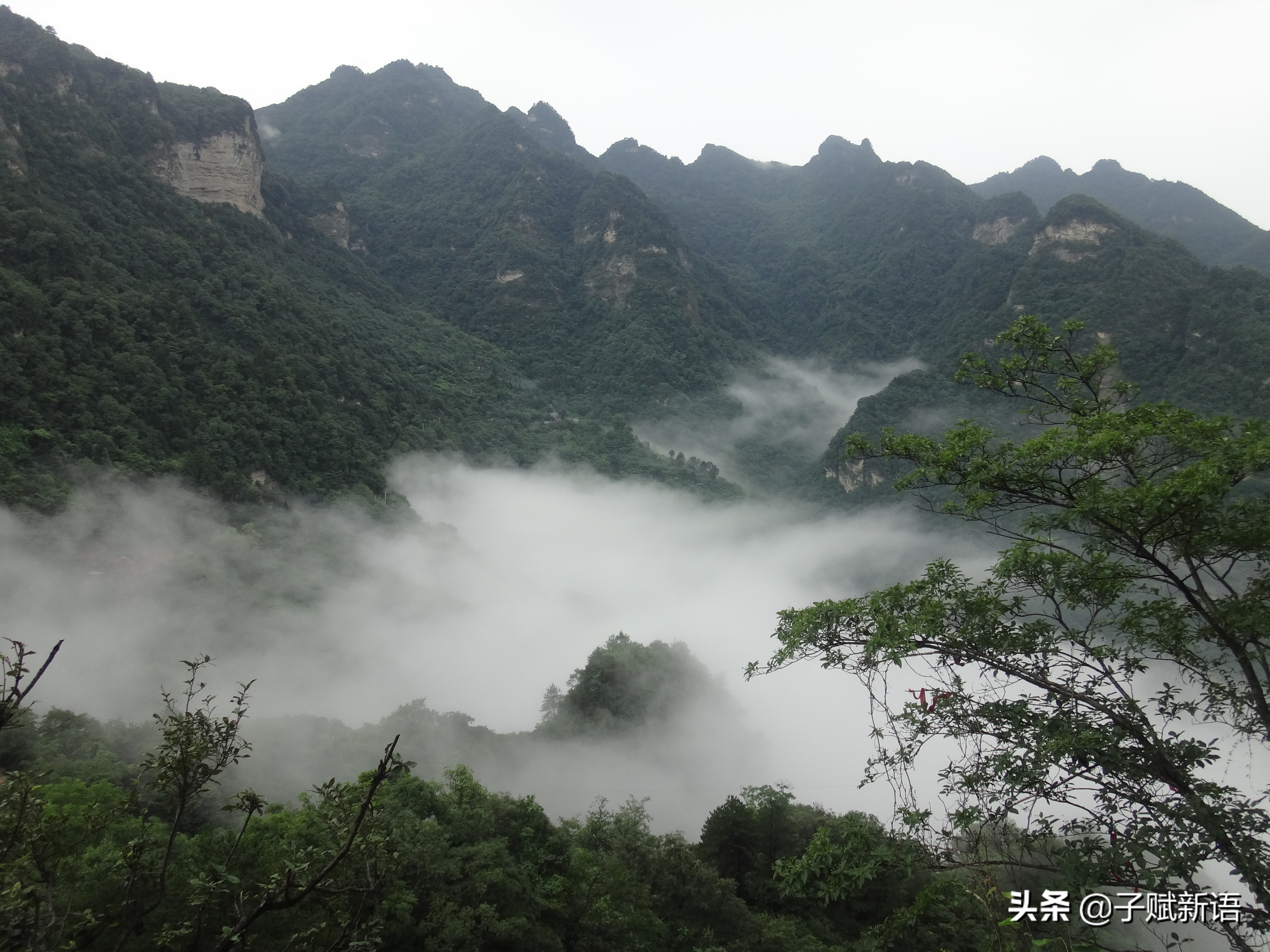 老子无为的观点,老子第二章展现什么思想