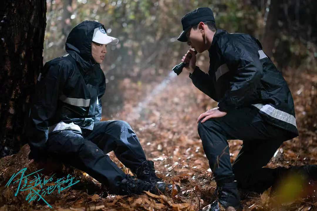 锦心似玉山河令电视剧哪部好看,山河令和锦心似玉哪个好看