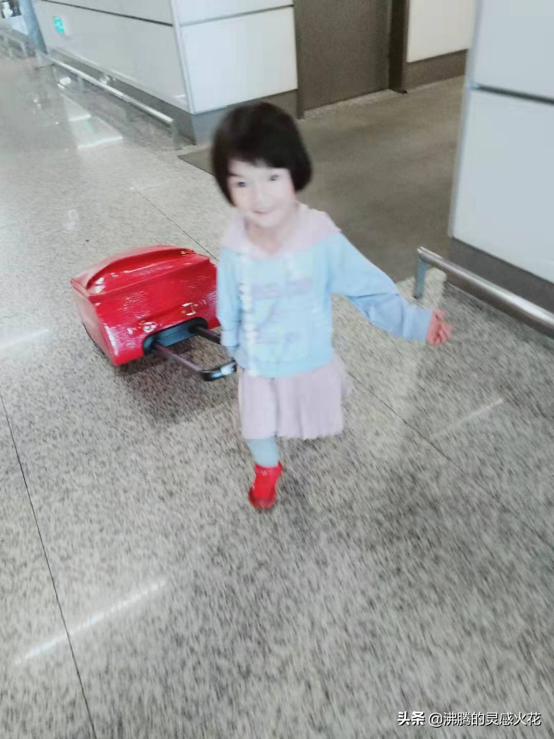 长隆野生动物世界探寻自然之美,长隆野生动物世界丛林野趣大巡游