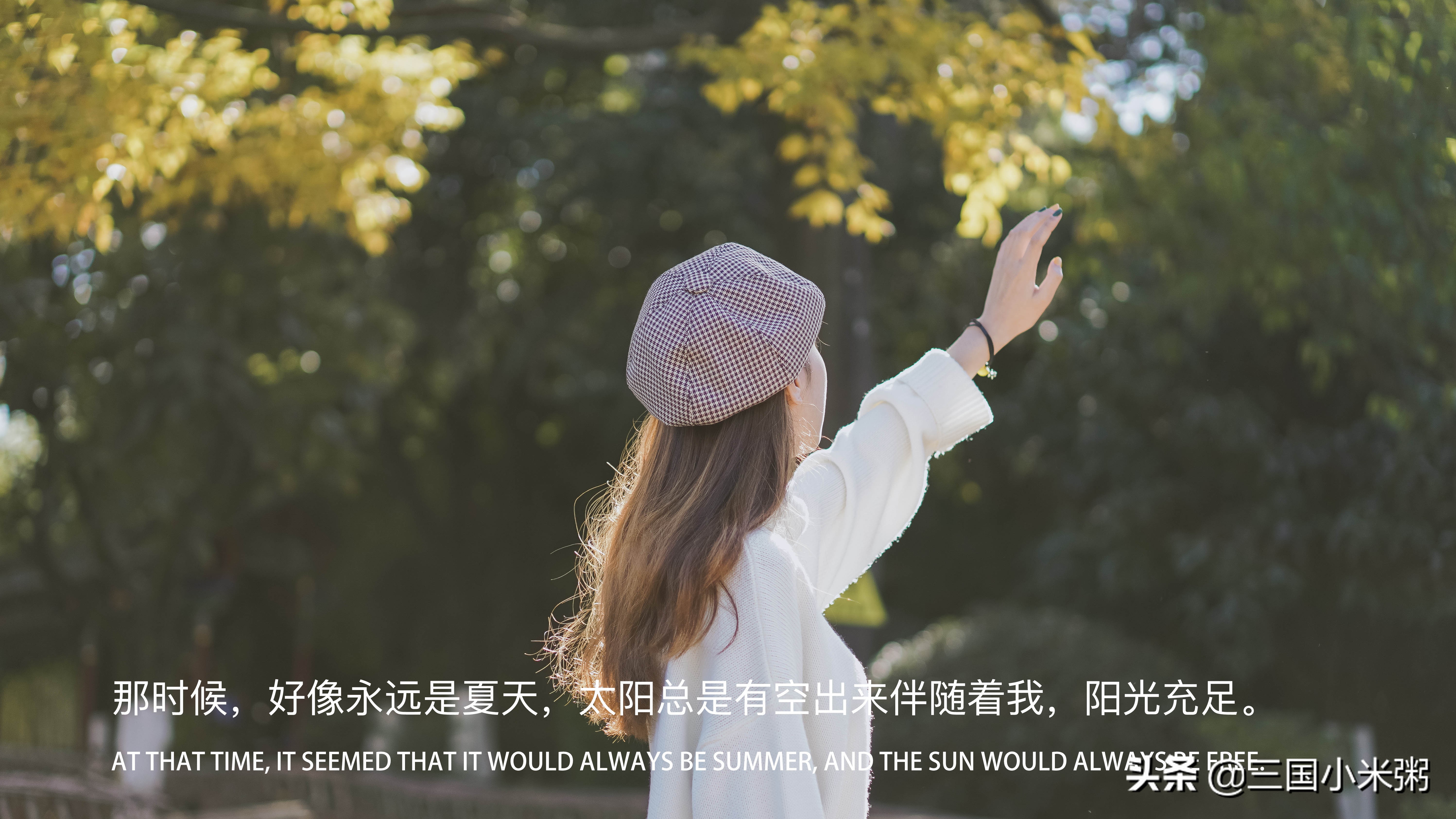 索尼微单a6100使用教程,索尼微单alpha7iv