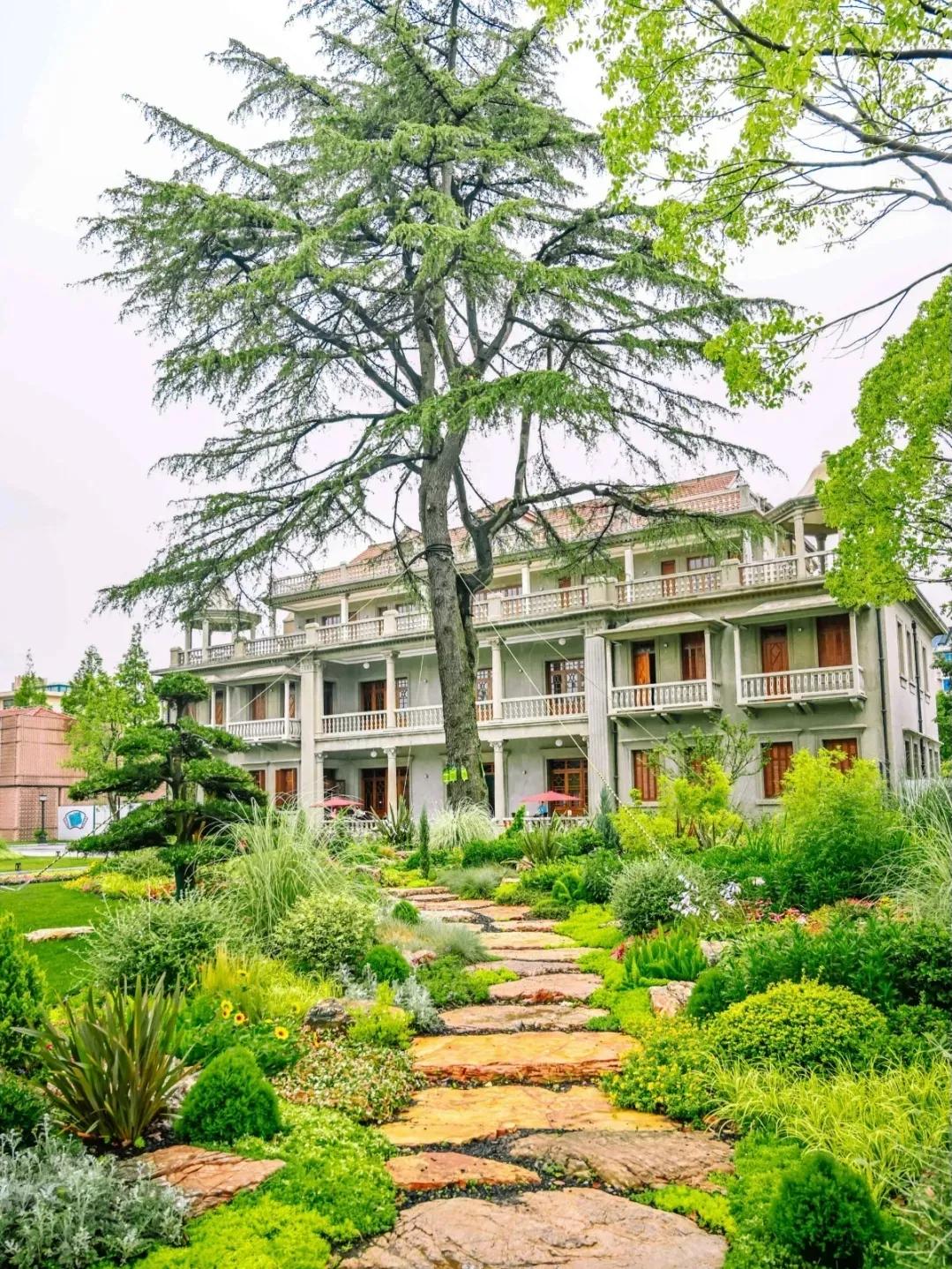 上海免费的旅游攻略,上海最实惠的免费旅游攻略