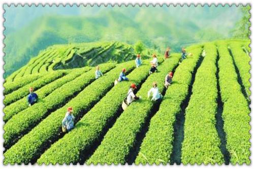 未来三年创业需要注意什么,创业者注意事项和商机