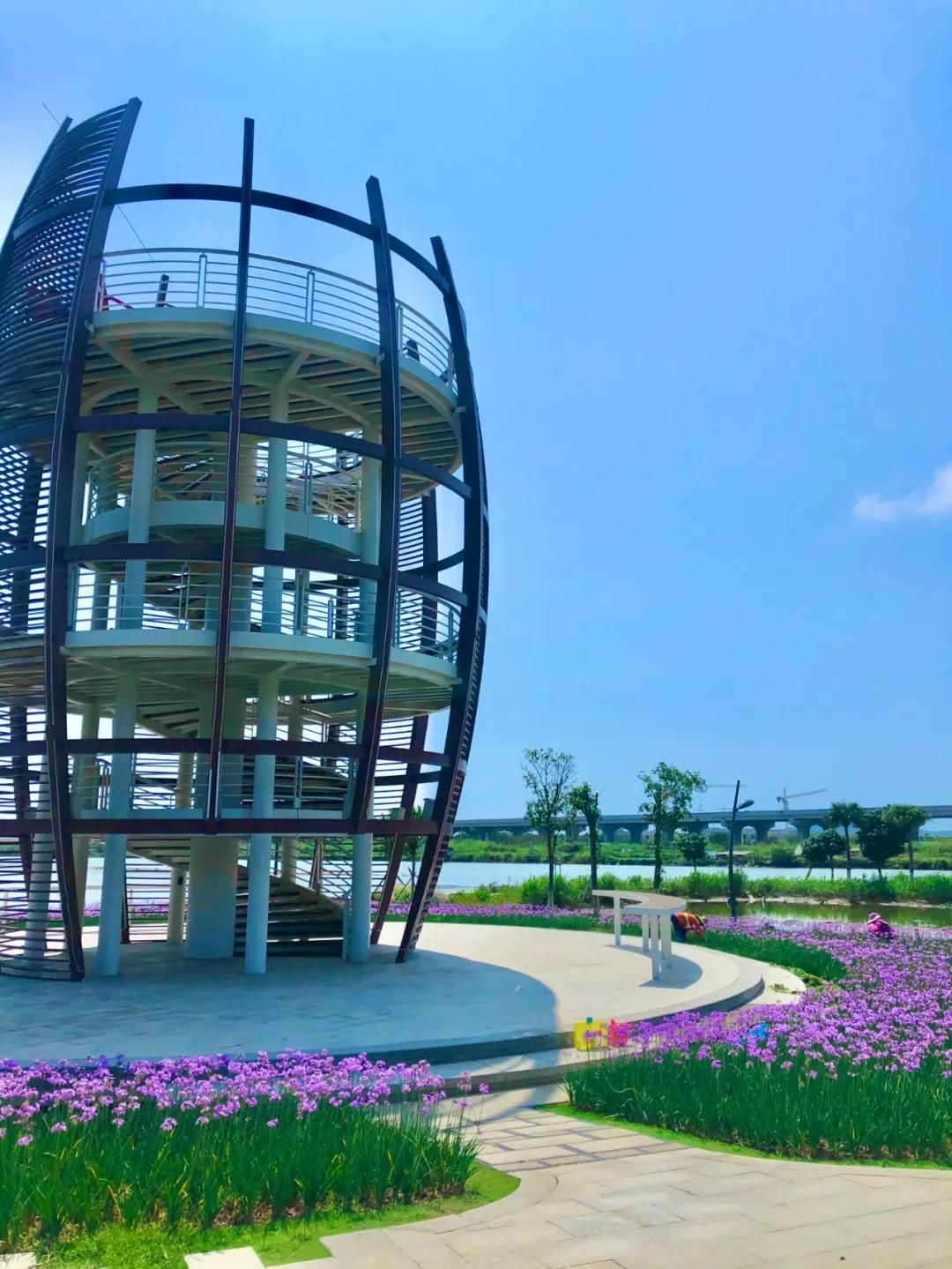 花园庭院设计花卉园艺,花园搭配的草类植物