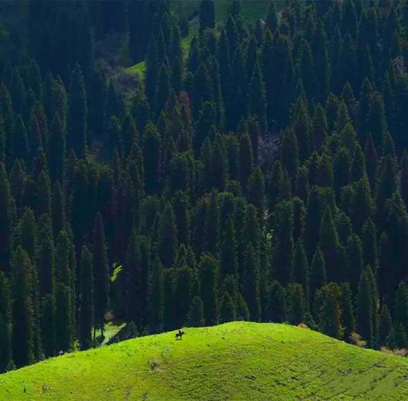 塔城最好旅游季节,塔城好去处