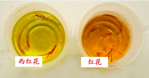 西红花与红花鉴别表格,红花和西红花图片对比