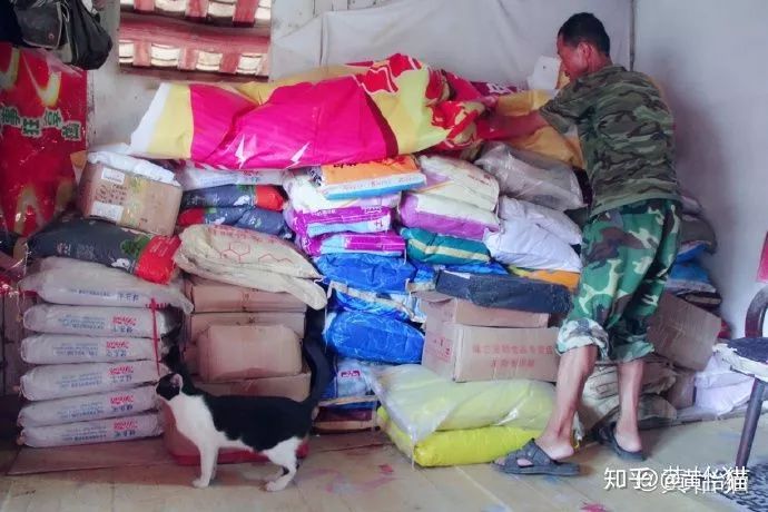 淘宝一斤猫粮多少钱,淘宝猫粮什么牌子好又便宜