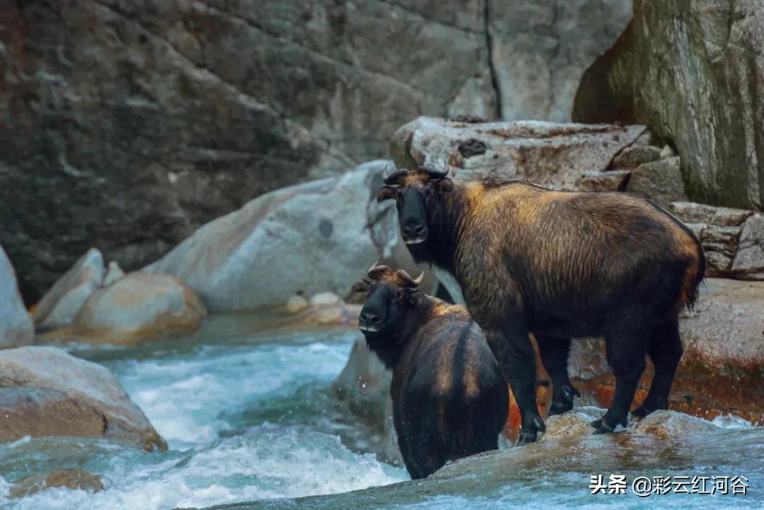 中国云南哪里好看,云南的云彩为什么好看